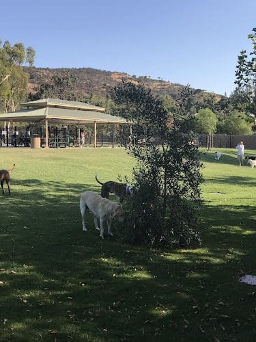 Westlake Village Dog Park - Westlake Village, CA