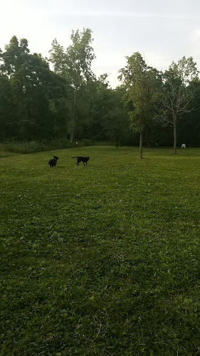 Old Hines Park Dog Park