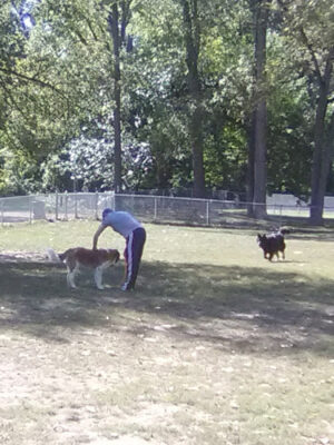 Wayne County Dog Park