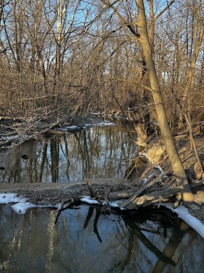 Old Hines Park Dog Park - Westland, MI