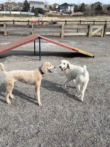 Big Dry Creek Park-Dog PARK