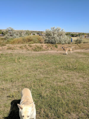 Westminster Hills Open Space Off-Leash Area