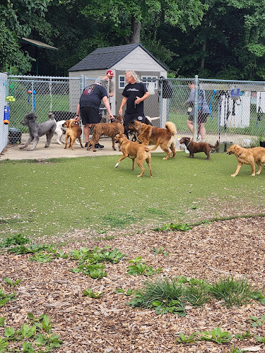 Bennett Cerf Dog Park (Members Only)