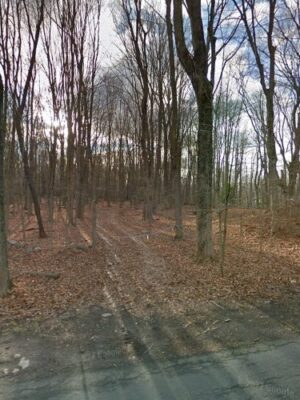 Weston Dog Park