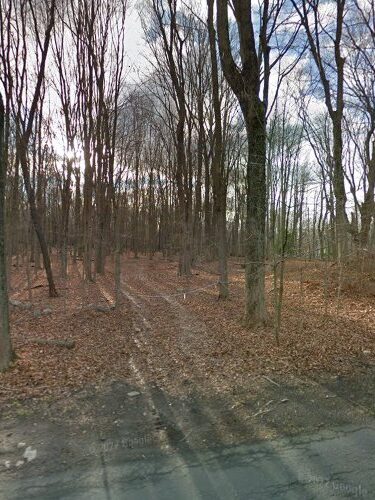 Weston Dog Park