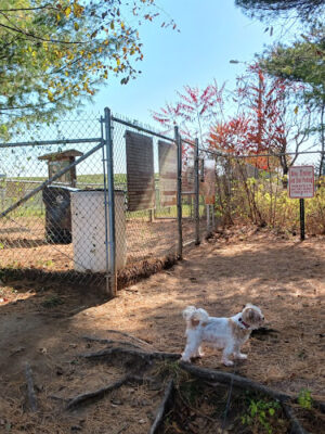 Weston Dog Park