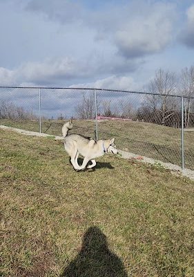 Weston Bend Dog Park