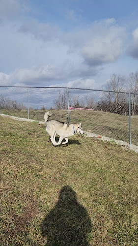Weston Bend Dog Park