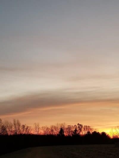 Weston Dog Park - Weston, MI