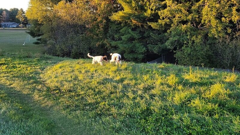 Weston Dog Park - Weston, MI