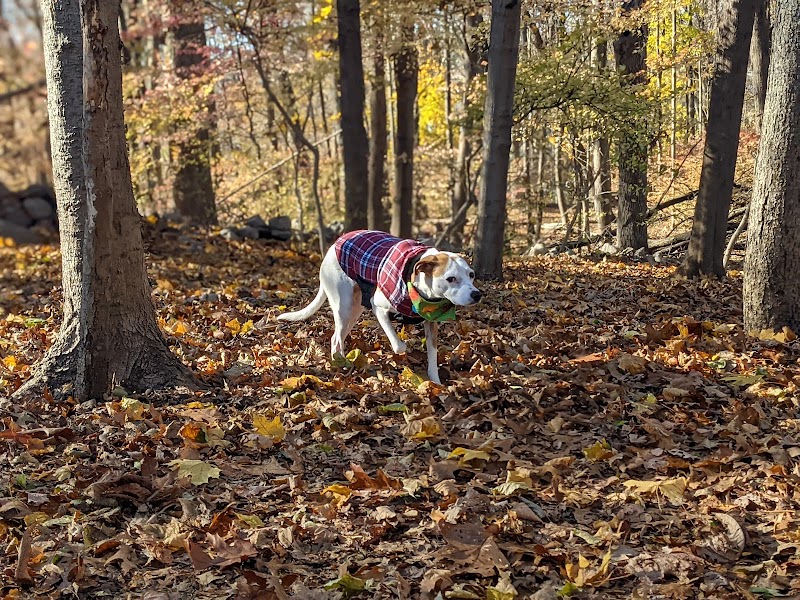 Winslow Park - Westport, CT