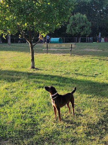 Deptford Doggie Park