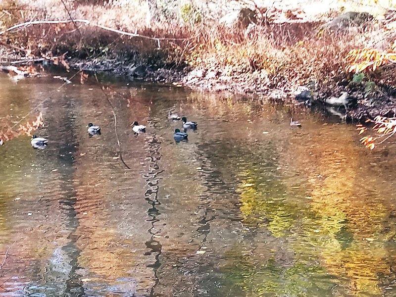 Overbrook Park - Westwood, NJ