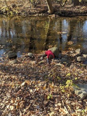 Overbrook Park