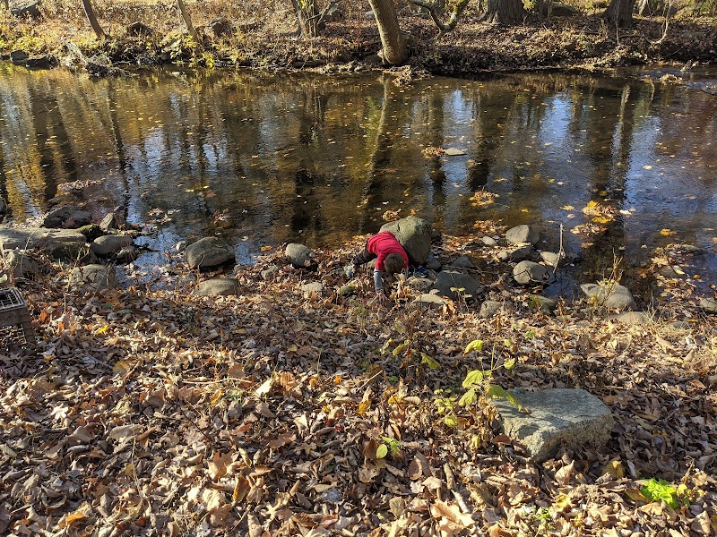 Overbrook Park - Westwood, NJ