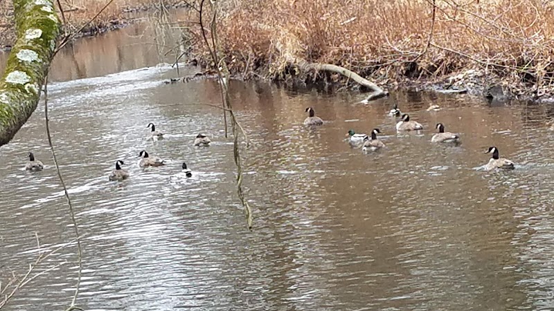 Overbrook Park - Westwood, NJ