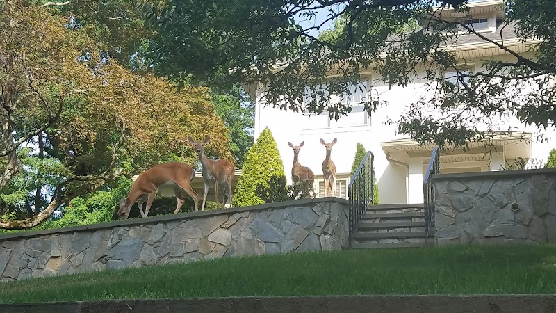 Overbrook Park - Westwood, NJ