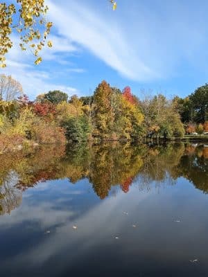 Pascack Brook County Park