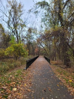 Pascack Brook County Park