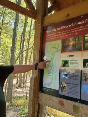 Pascack Brook County Park
