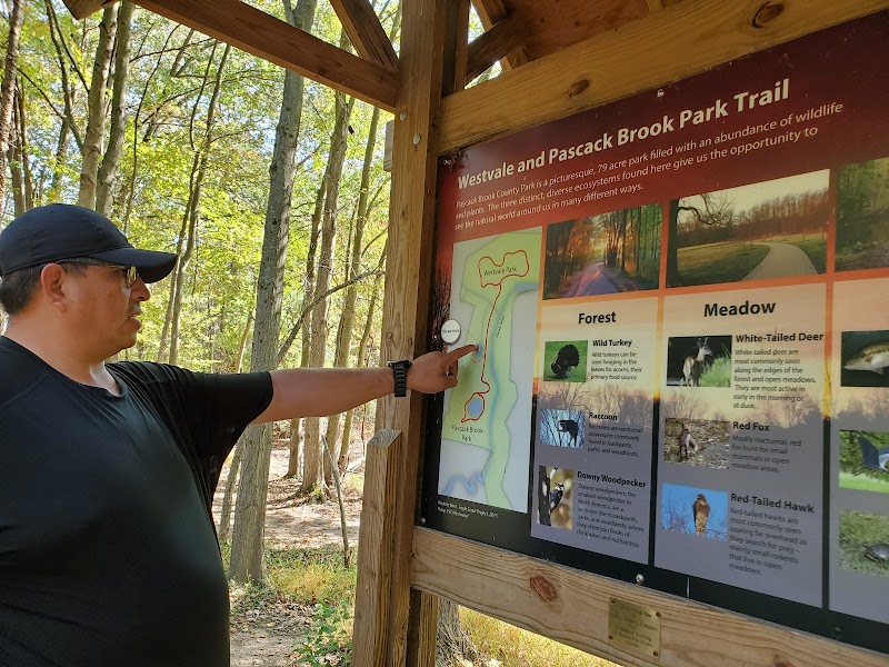 Pascack Brook County Park - Westwood, NJ