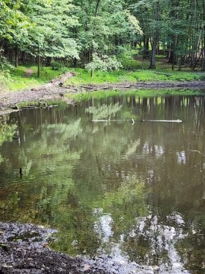 Pascack Brook County Park