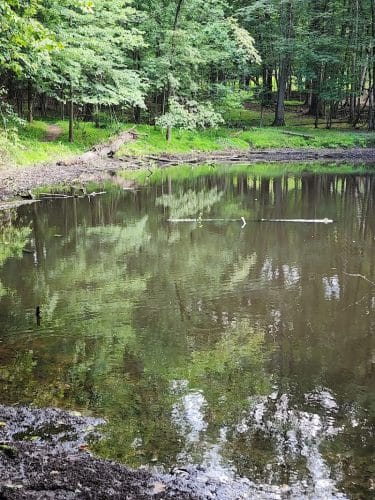 Pascack Brook County Park