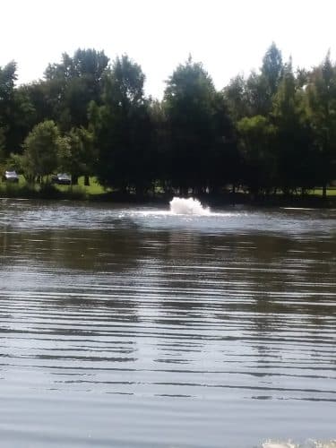 Pascack Brook County Park
