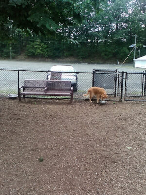 West Woof Dog Park