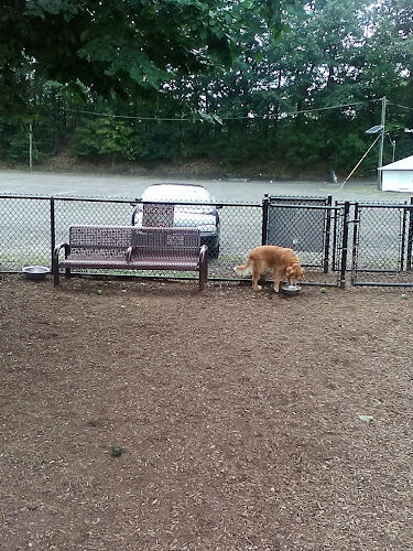 West Woof Dog Park