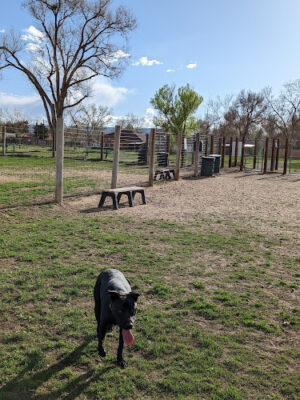 Fruitdale Dog Park