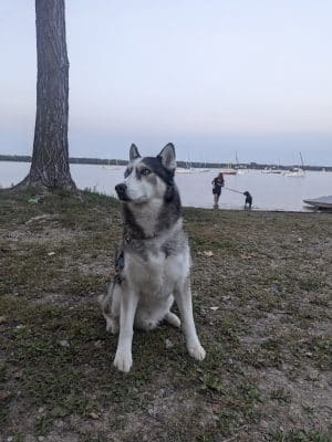 Matoska Beach