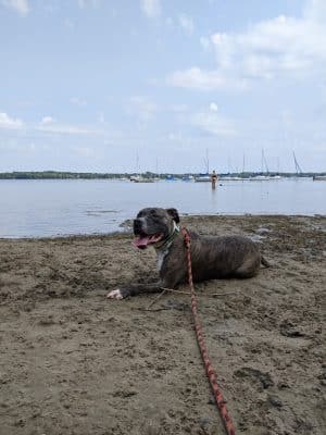 Matoska Beach