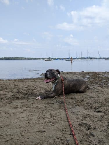 Matoska Beach