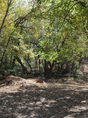 Otter Lake Off-leash Dog Area