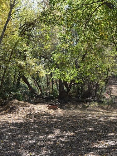 Otter Lake Off-leash Dog Area