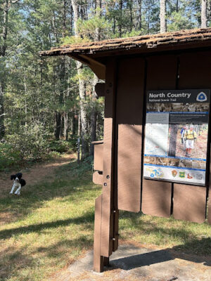 White Cloud Roadside park