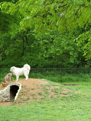 Rover's Ridge Dog Park