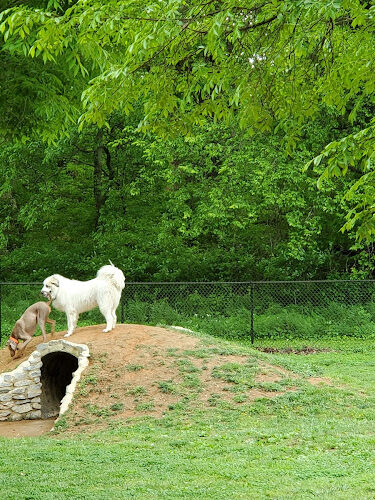 Rover's Ridge Dog Park