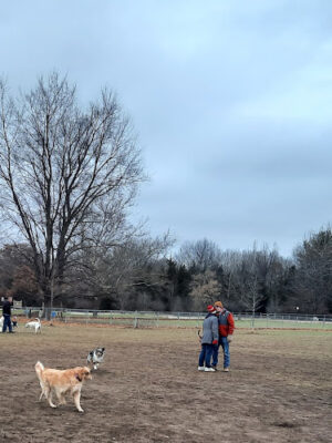 Pontiac Lake Dog Park A & B