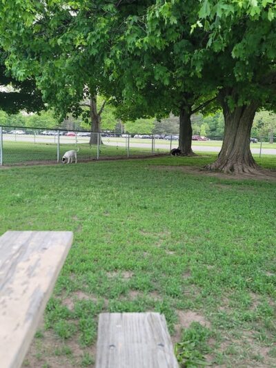 Pontiac Lake Dog Park A & B - White Lake, MI