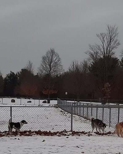 Pontiac Lake Dog Park A & B - White Lake, MI