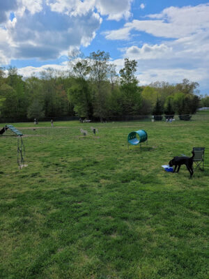 Turkey Hill Park