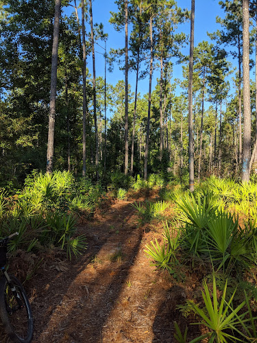 Florida Trail White Springs Tract Trailhead
