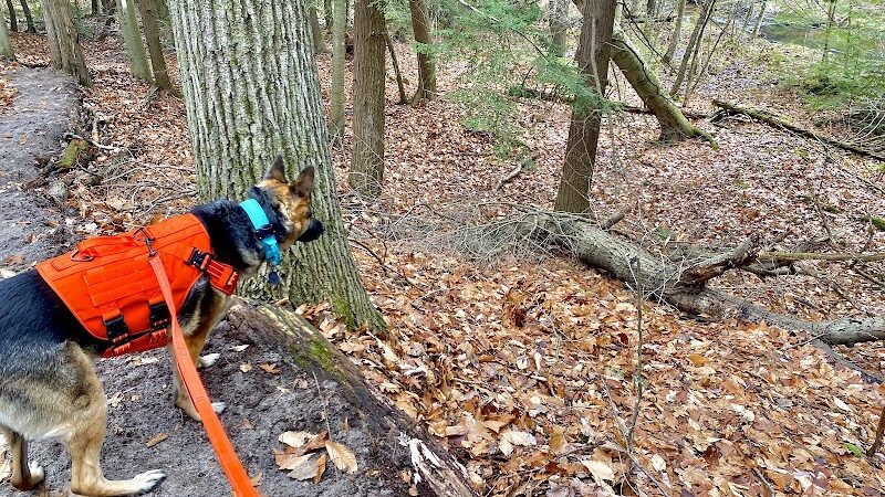 Duck Creek Natural Area - Whitehall,