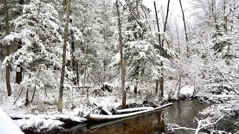 Duck Creek Natural Area - Whitehall,