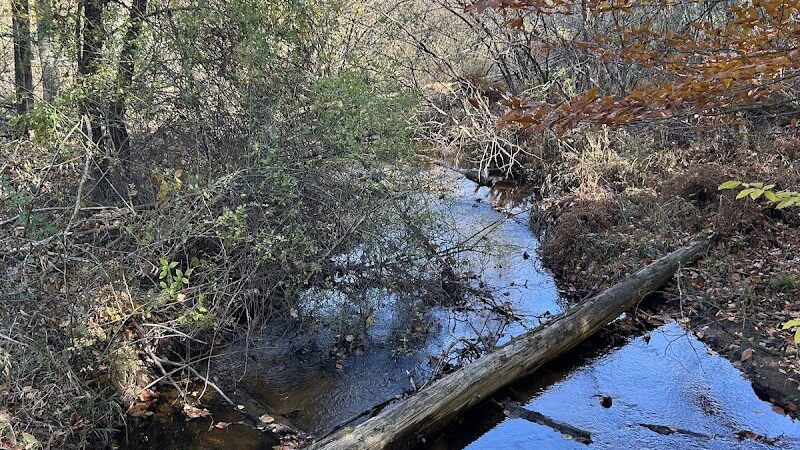 Duck Creek Natural Area - Whitehall,