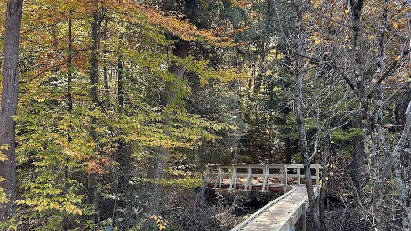 Duck Creek Natural Area - Whitehall,