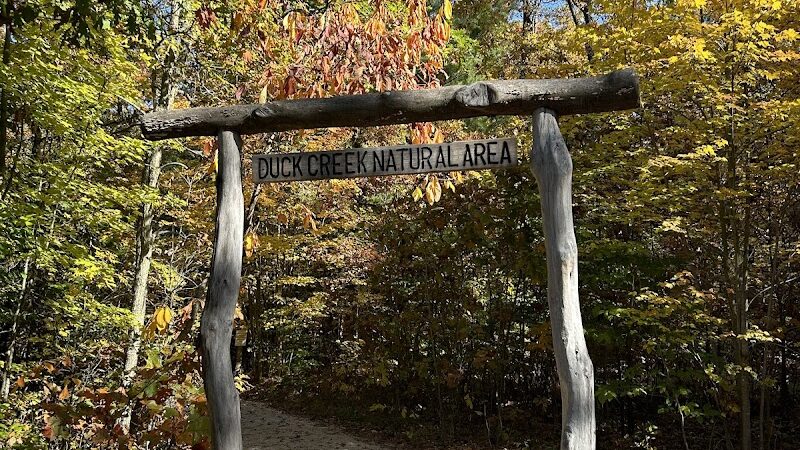 Duck Creek Natural Area - Whitehall,