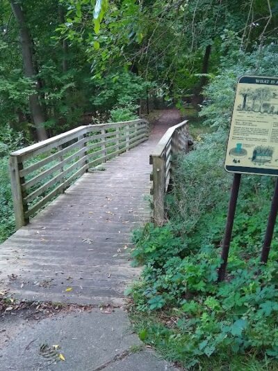 Lions Park - Whitehall,